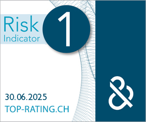 Dun & Bradstreet Rating Certificate as Risk 1 2024